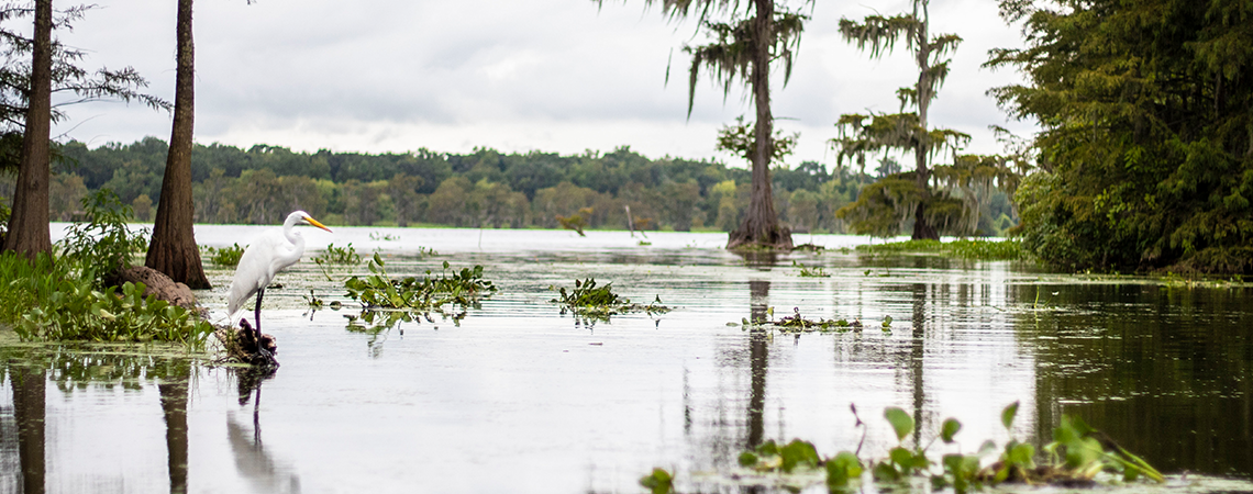 Contact Insurance & Financial Services, Inc.